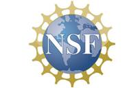 Image result for nsf logo